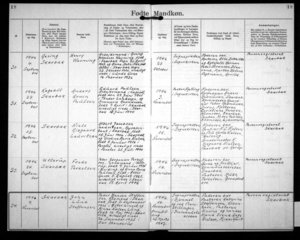 0001_data_kirkeboeger1892_AA017_AB_017_0018a-FM.Jpg